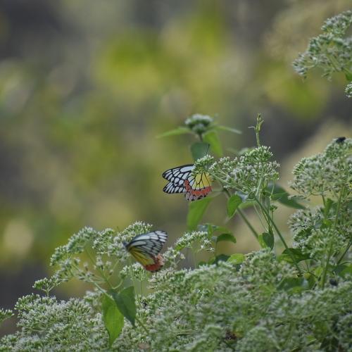 Photo #5280872