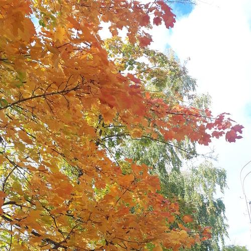 Photo #5280921