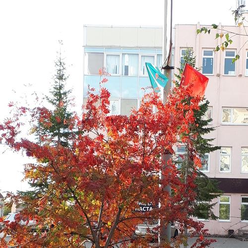 Photo #5280922