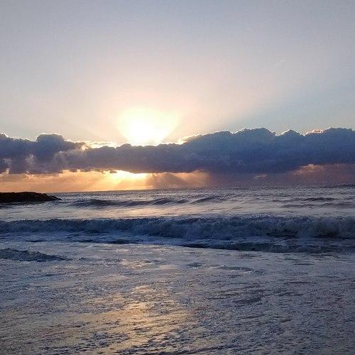 Photo #5280957