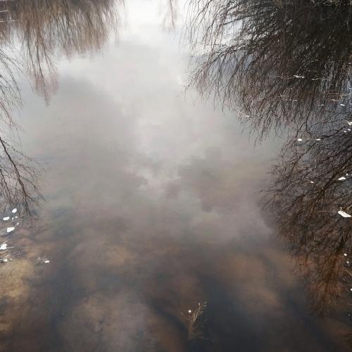 Photo #5280986