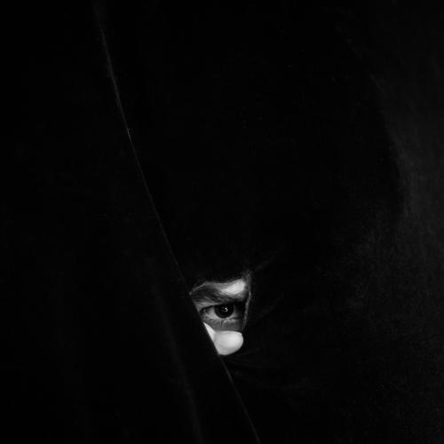 Photo #5281447