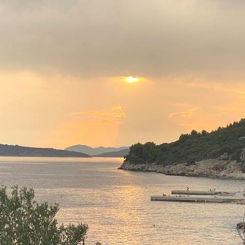 Photo #5281517