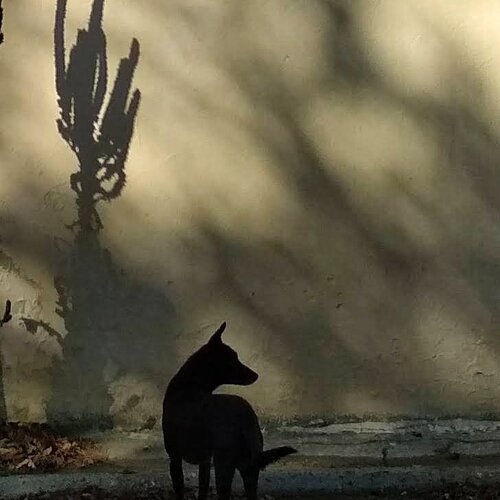Photo #5281629