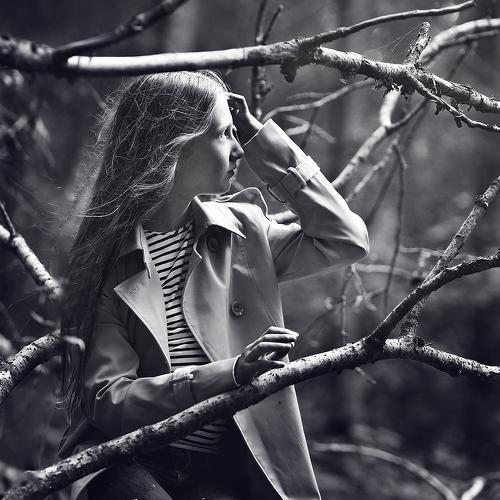 Photo #5281756
