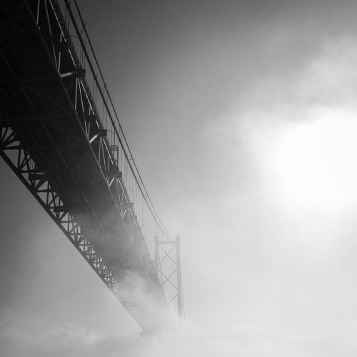 Фотография #5281864