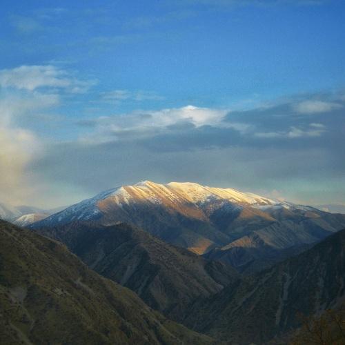 Photo #5281930