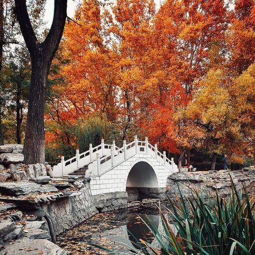 Photo #5282085