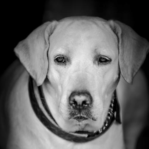 Photo #5282104