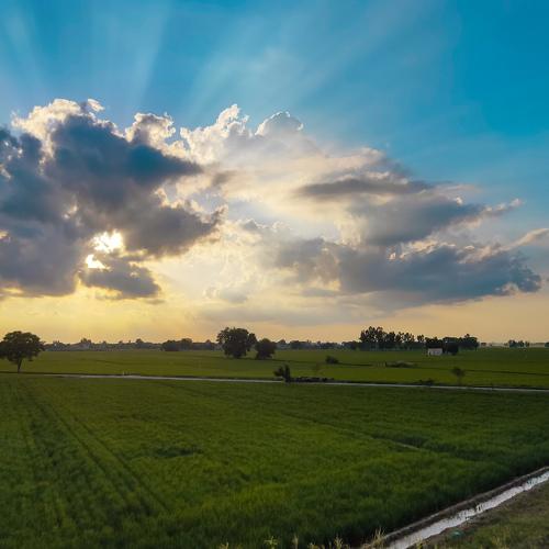 Rays of Hope