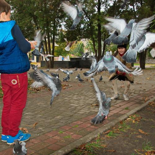 Photo #5282479