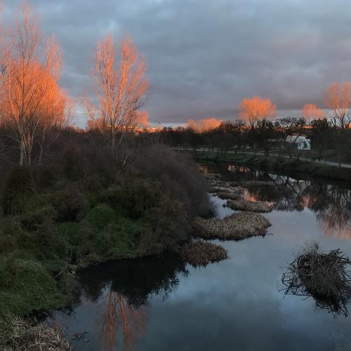 Photo #5282635