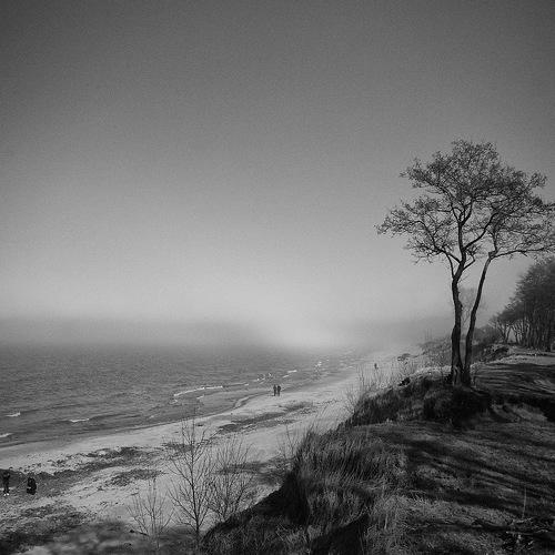 Photo #5282989