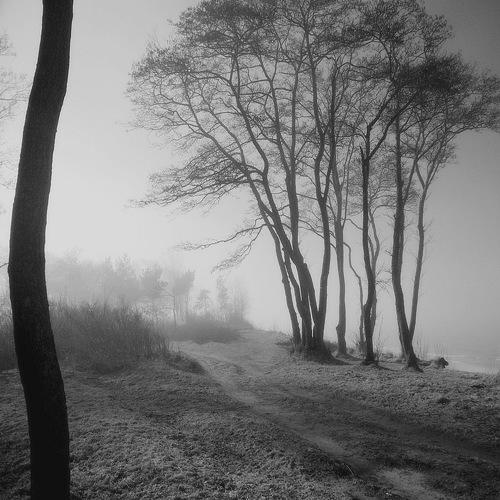 Photo #5283014