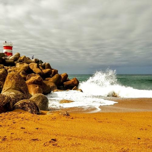 Photo #5284006
