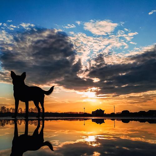 Photo #5284008