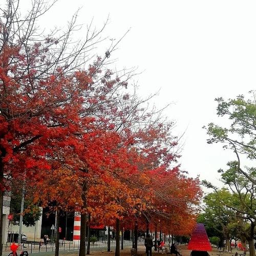 Photo #5284095