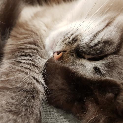 Photo #5284135