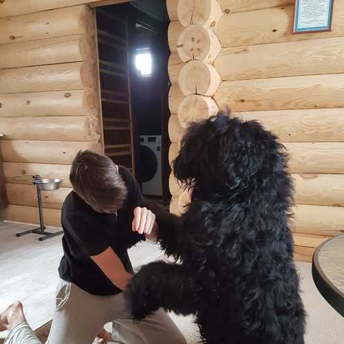 Photo #5284146