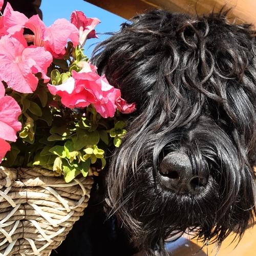 Photo #5284147