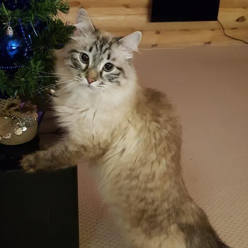 Photo #5284168