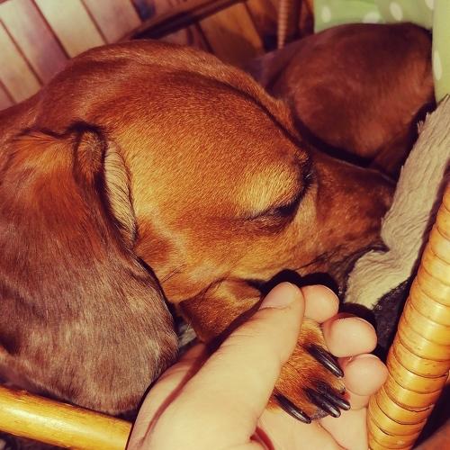 Photo #5284172