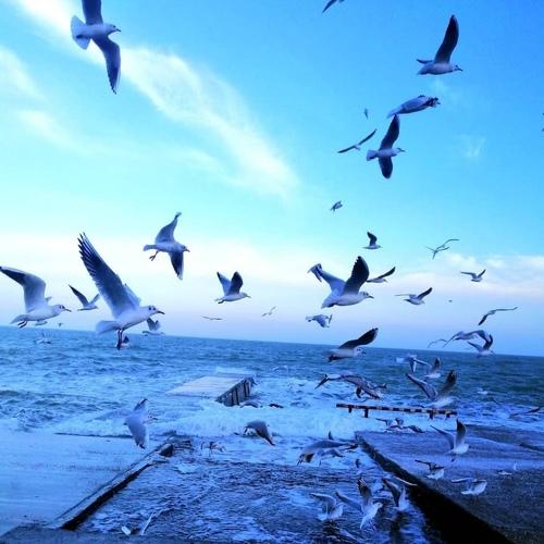 Photo #5284671
