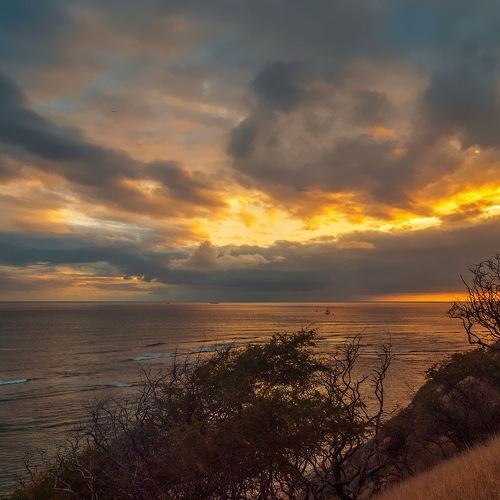 Photo #5285855