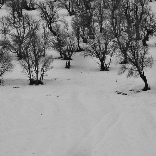 Photo #5286433