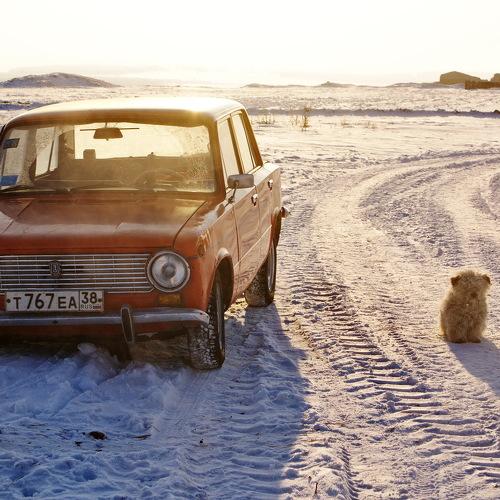 Photo #5287550
