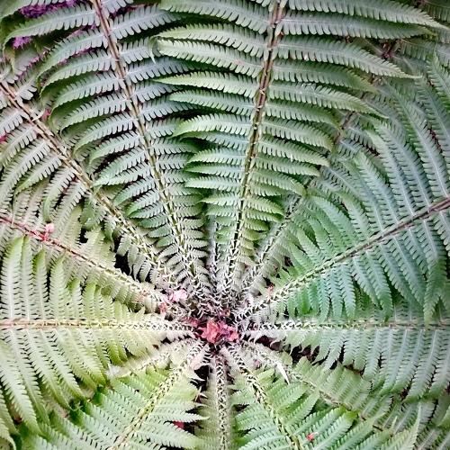 Photo #5287627