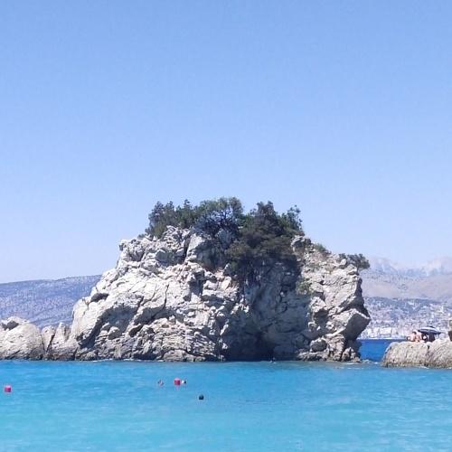 Photo #5287752