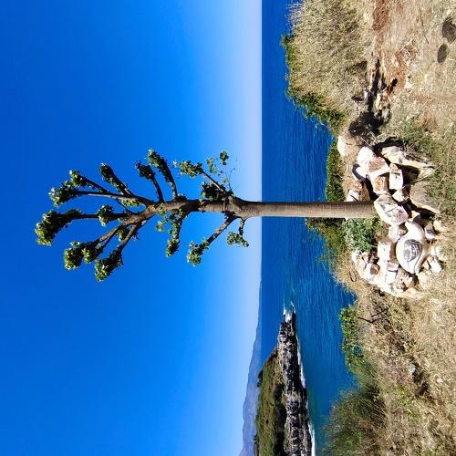 Photo #5287754