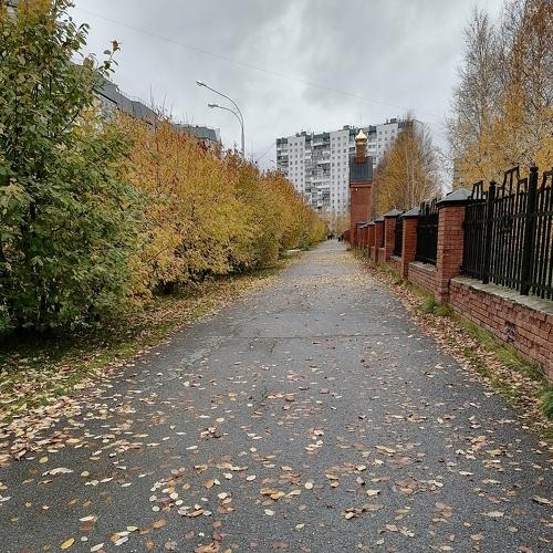 Photo #5287785