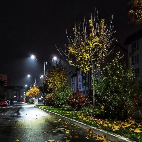 Photo #5287837