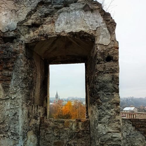 Photo #5287841