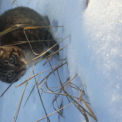Photo #5287956