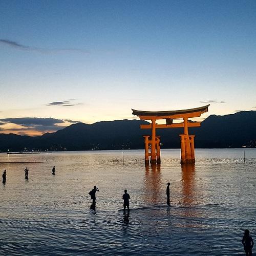 Photo #5287970