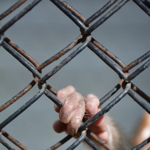 Photo #5288100