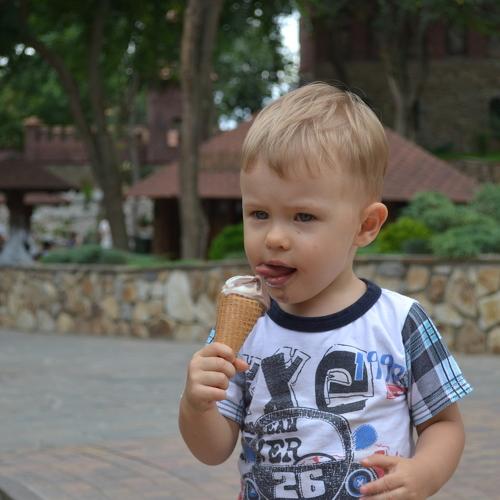 Photo #5288209