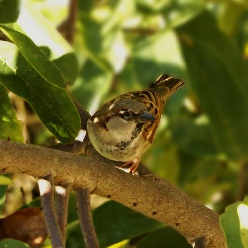 Photo #5288409