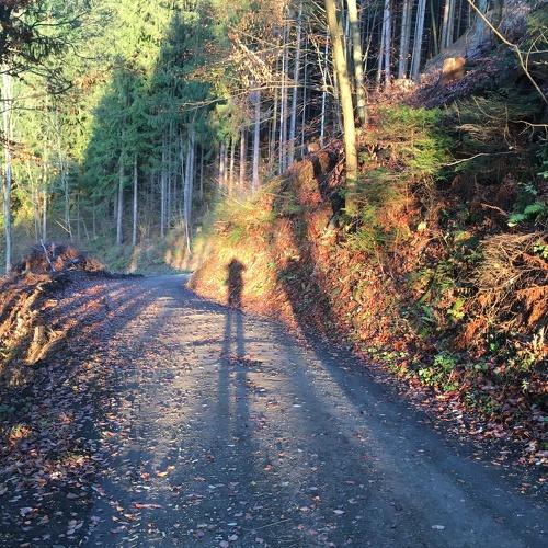 Photo #5288793