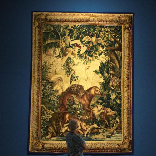 The combat of animals