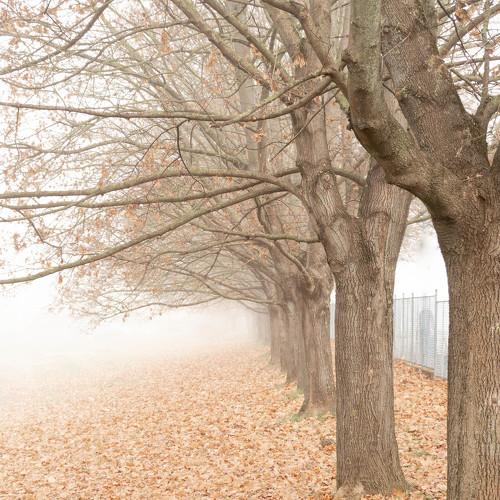 Photo #5289892