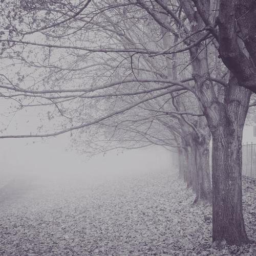 Photo #5289908