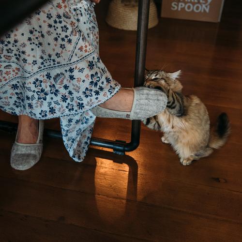 Photo #5290017