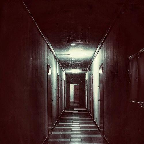 Photo #5290134