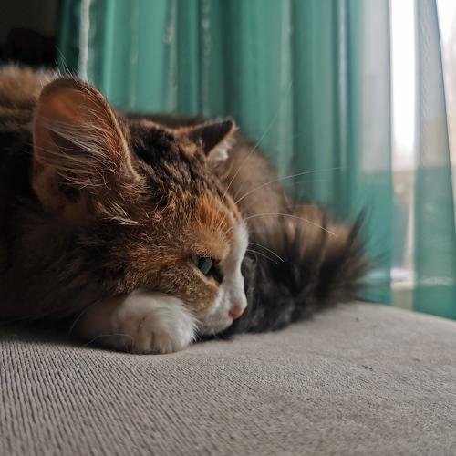 Photo #5290149