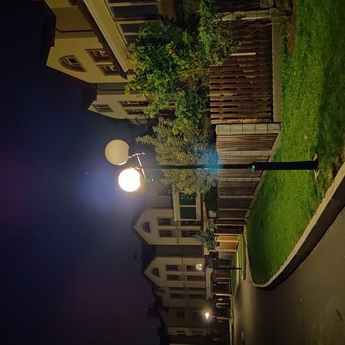 Photo #5290383