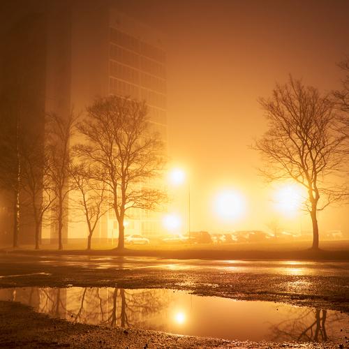 Photo #5290497